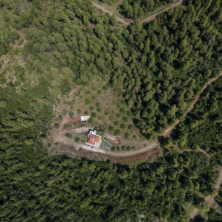 Dream House Capturing The Magic Of Nature Vlachia Exteriér fotografie