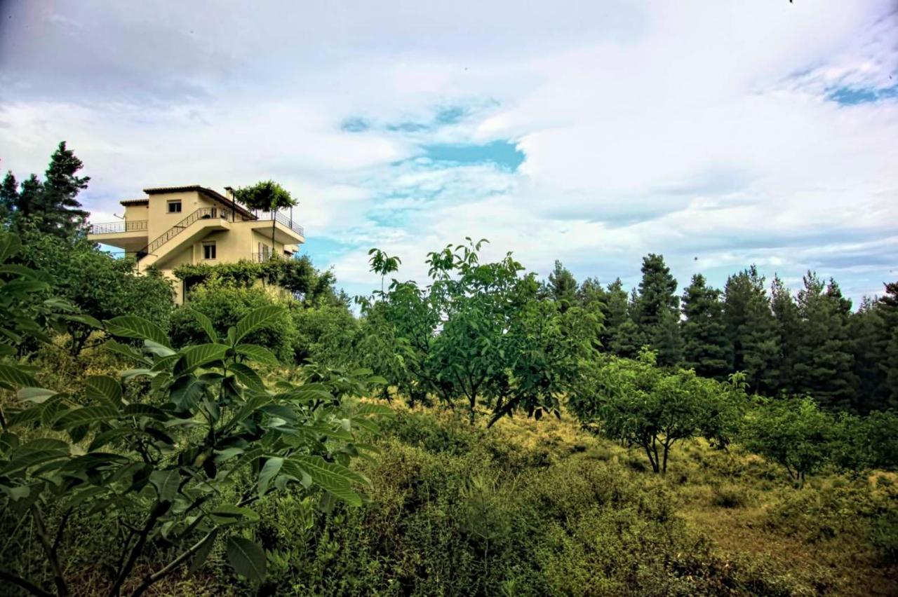 Dream House Capturing The Magic Of Nature Vlachia Exteriér fotografie