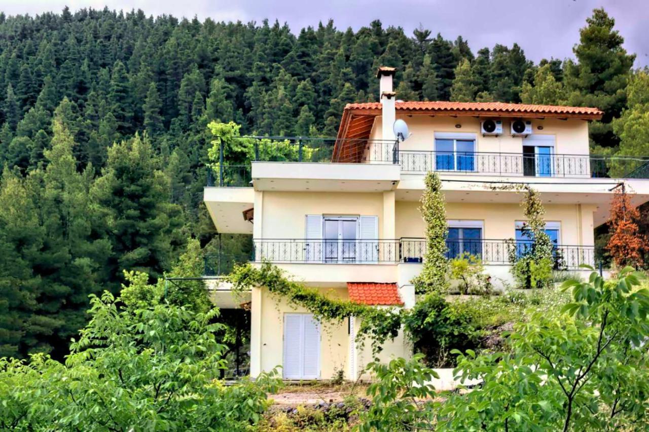 Dream House Capturing The Magic Of Nature Vlachia Exteriér fotografie