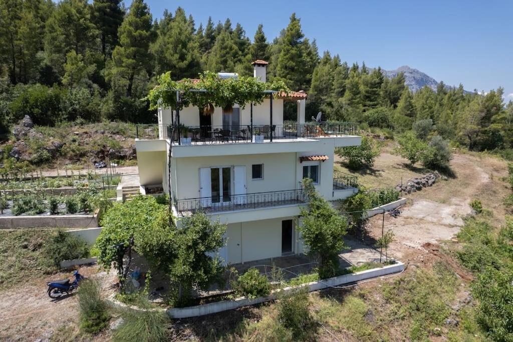 Dream House Capturing The Magic Of Nature Vlachia Exteriér fotografie