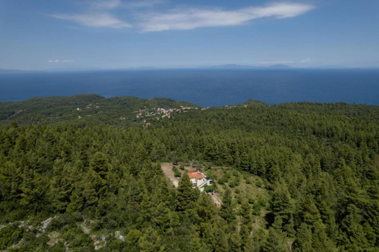 Dream House Capturing The Magic Of Nature Vlachia Exteriér fotografie