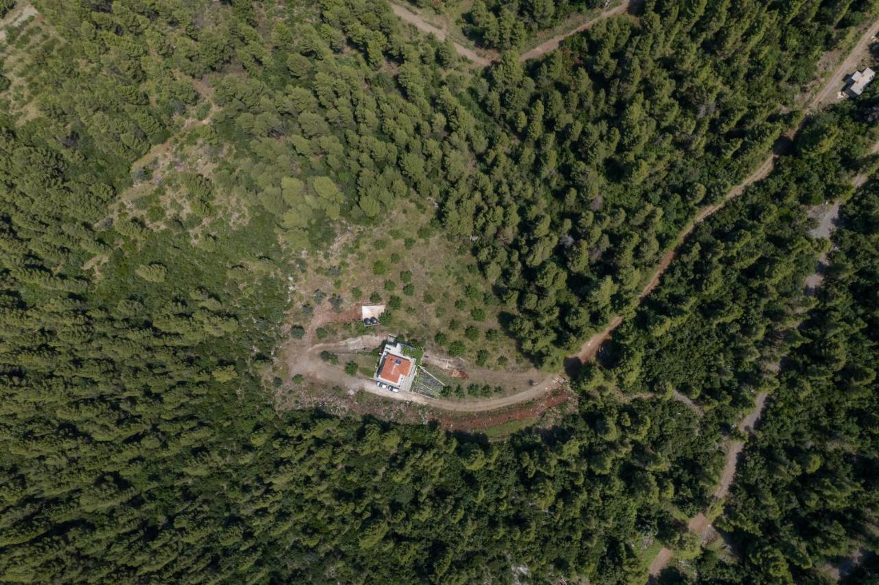 Dream House Capturing The Magic Of Nature Vlachia Exteriér fotografie
